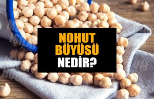 nohut-buyusu-1